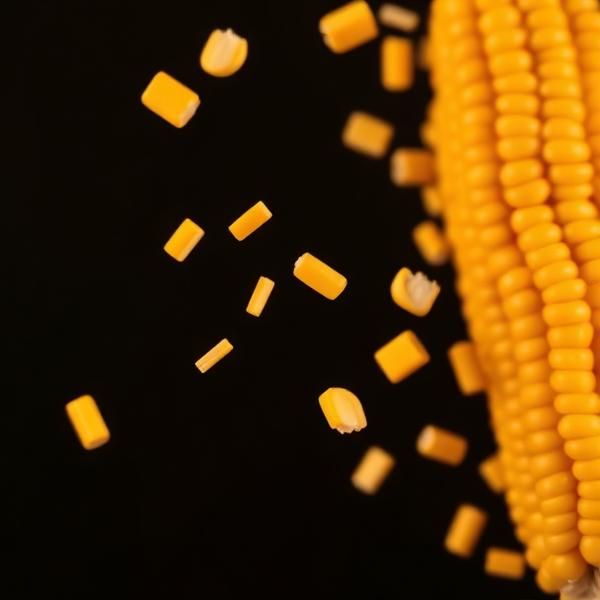 Golden Sweet Corn